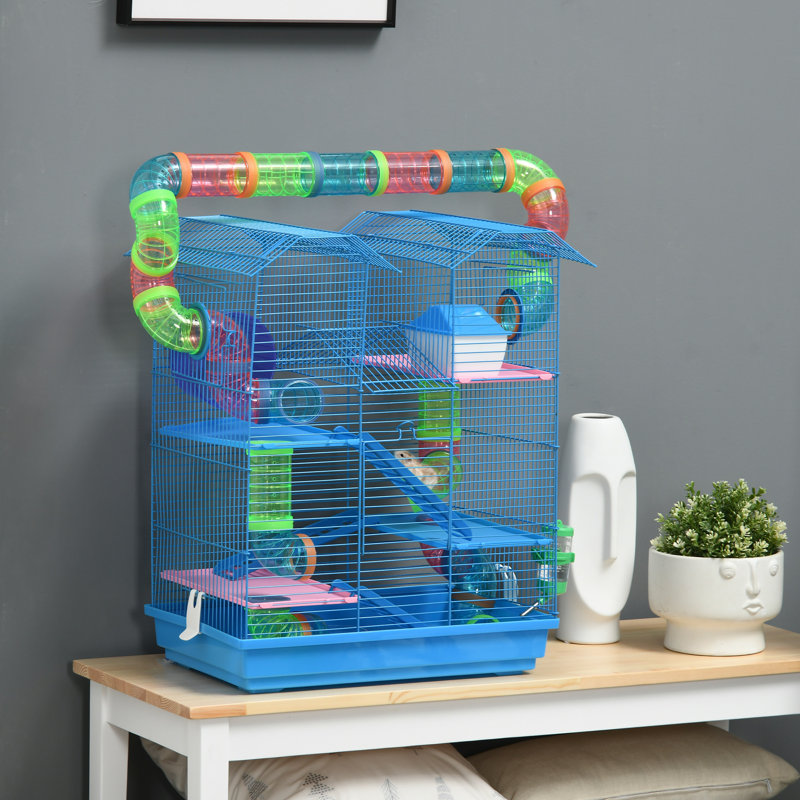 Hamster cage wayfair best sale